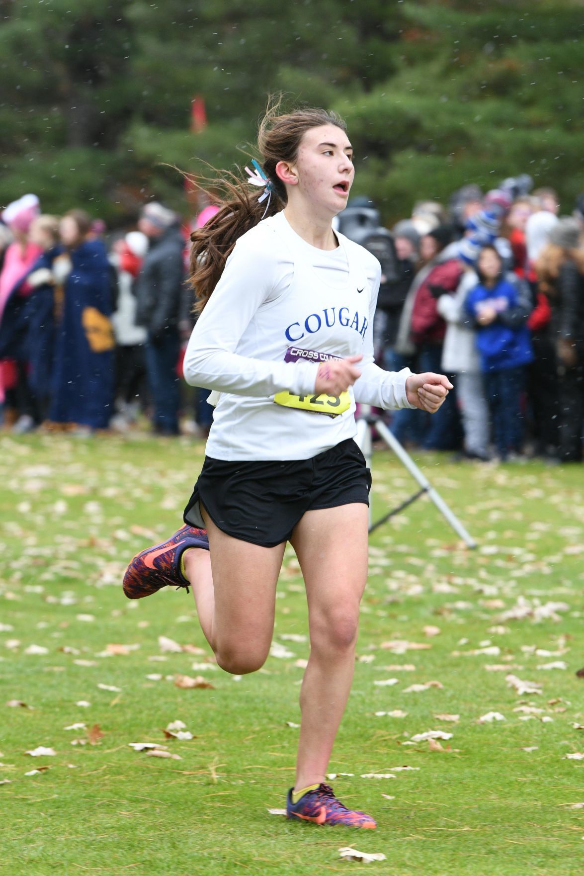 WIAA state cross country photo: Gabriella Petruzzello, Janesville Craig